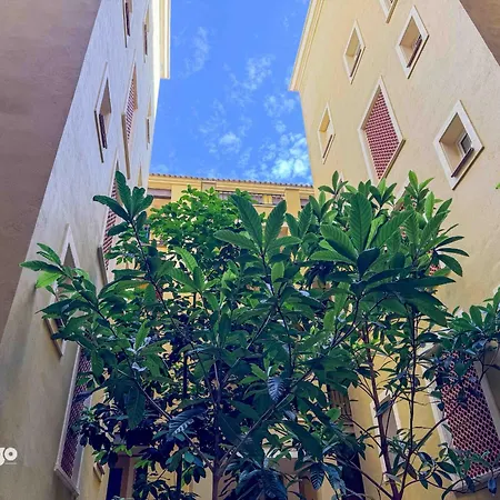 Beachfront - Sea View - Cou01 Appartamento *